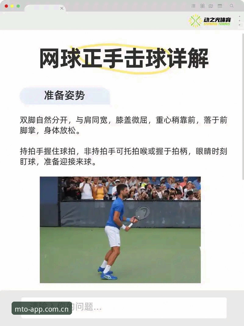猫头鹰体育平台最新动态：从新手到高手的实用技巧全解析