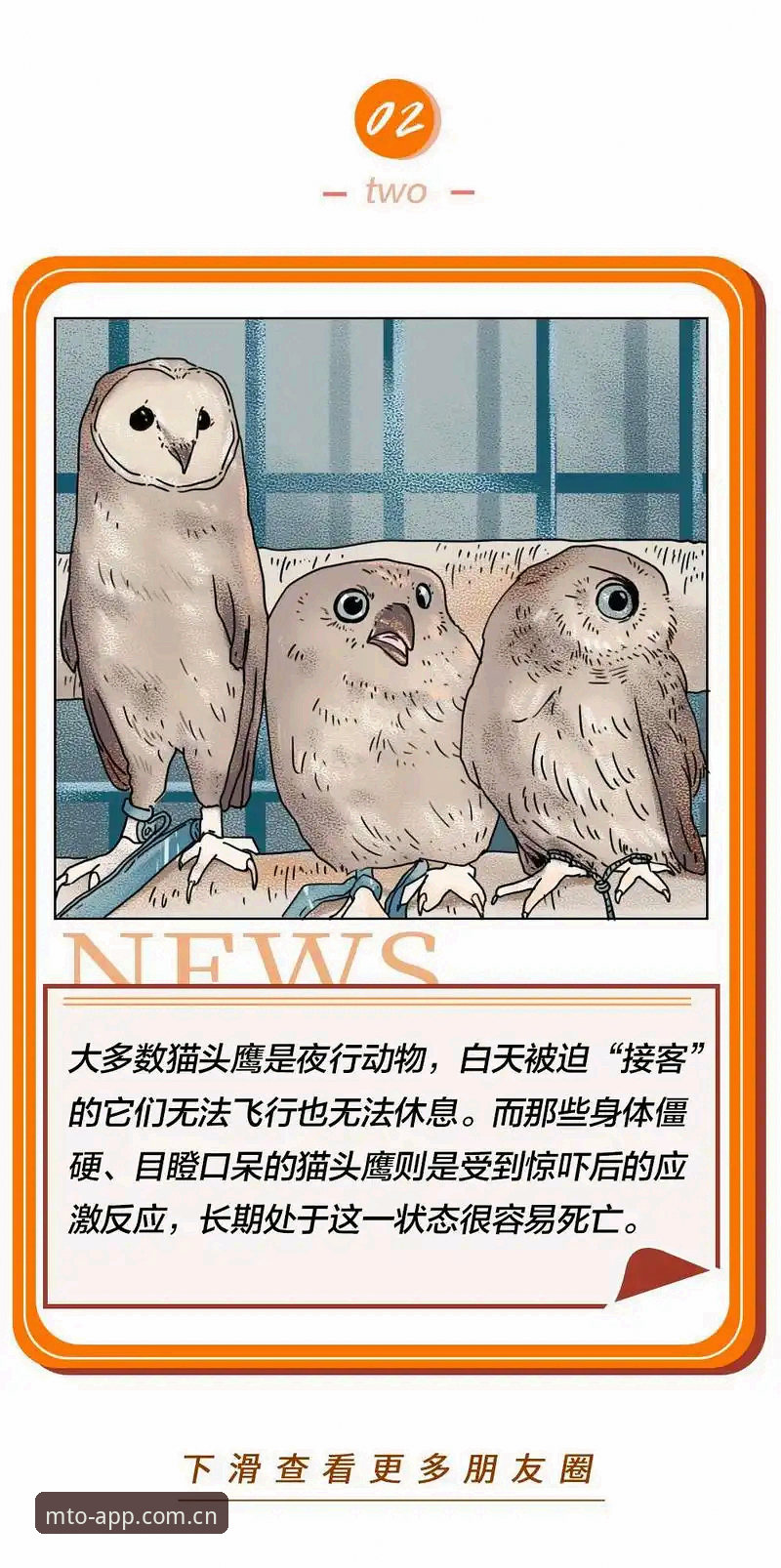 猫头鹰体育怎么样安装教程 揭秘猫头鹰体育app安装背后的真相:新手到高手的全攻略